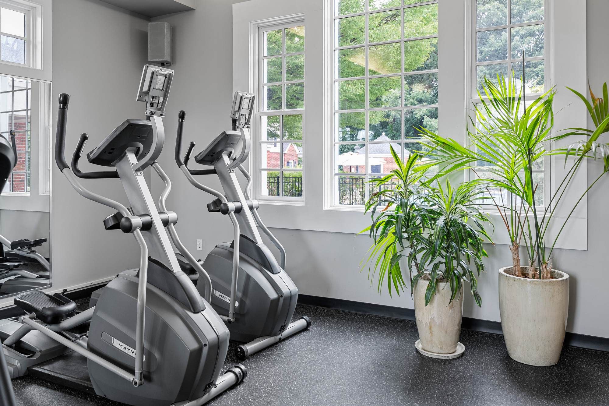 Elliptical machines and cardio equipment in the Jacobs Woods fitness room.